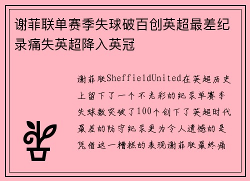 谢菲联单赛季失球破百创英超最差纪录痛失英超降入英冠