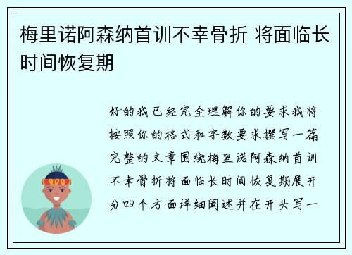 梅里诺阿森纳首训不幸骨折 将面临长时间恢复期